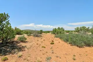 100 Wild Primrose Road 