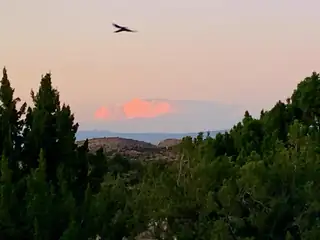 100 Wild Primrose Road 