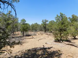 LOT 71 Alexis Road 