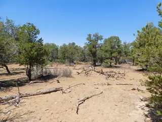 LOT 71 Alexis Road 