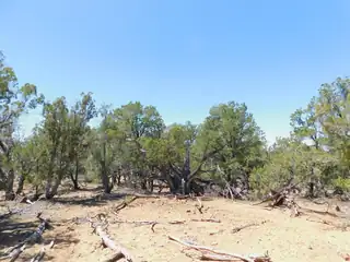 LOT 71 Alexis Road 