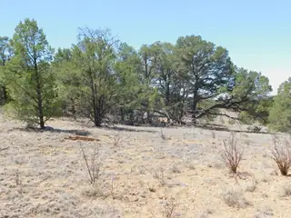 LOT 71 Alexis Road 