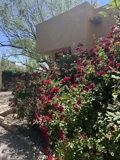 10816 Academy Ridge Road NE 