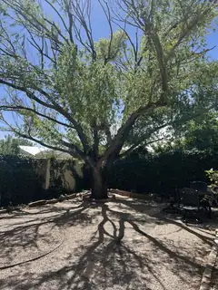 10816 Academy Ridge Road NE 