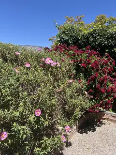 10816 Academy Ridge Road NE 