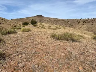Table Mountain Road R004079 