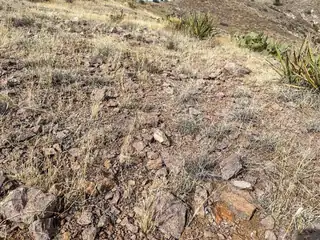 Table Mountain Road R004079 