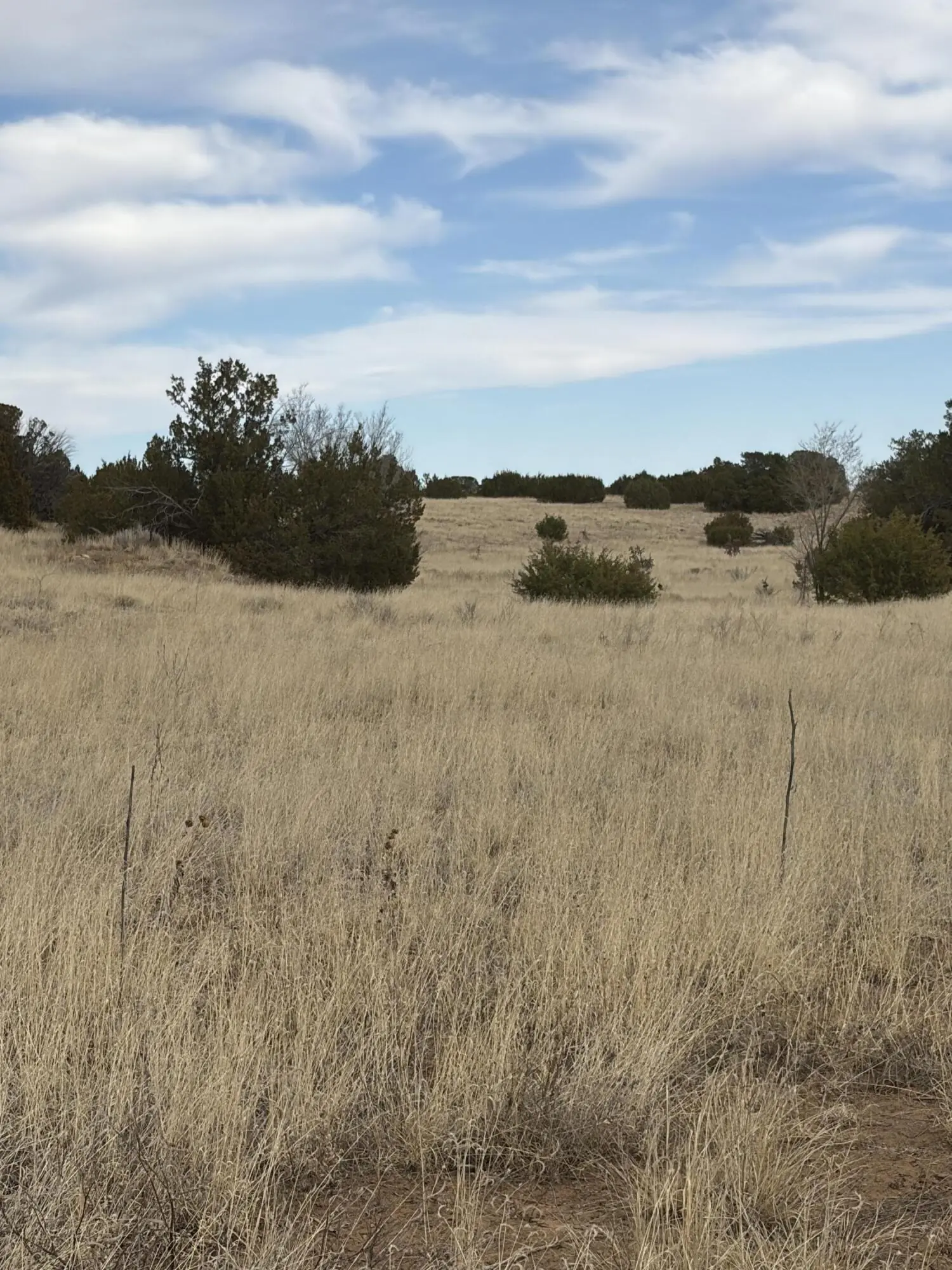 TBD Linda Vista Drive