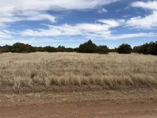 TBD Linda Vista Drive 