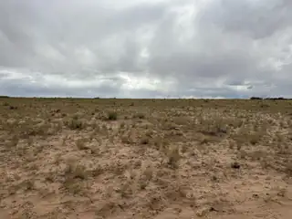 2 Lots Rio Grande Estates Avenue 