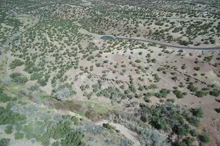 GOLD MINE Trail 