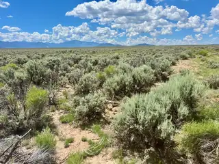 Sunshine Valley UPC 1070177069 Road 