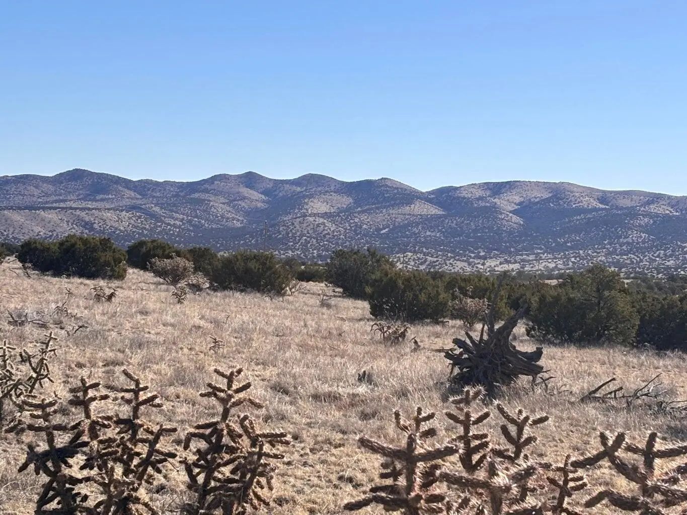 lot 168 Pinon Springs