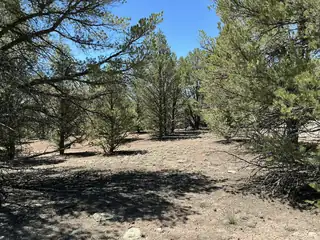 Lot 17 Buttonwood Drive 