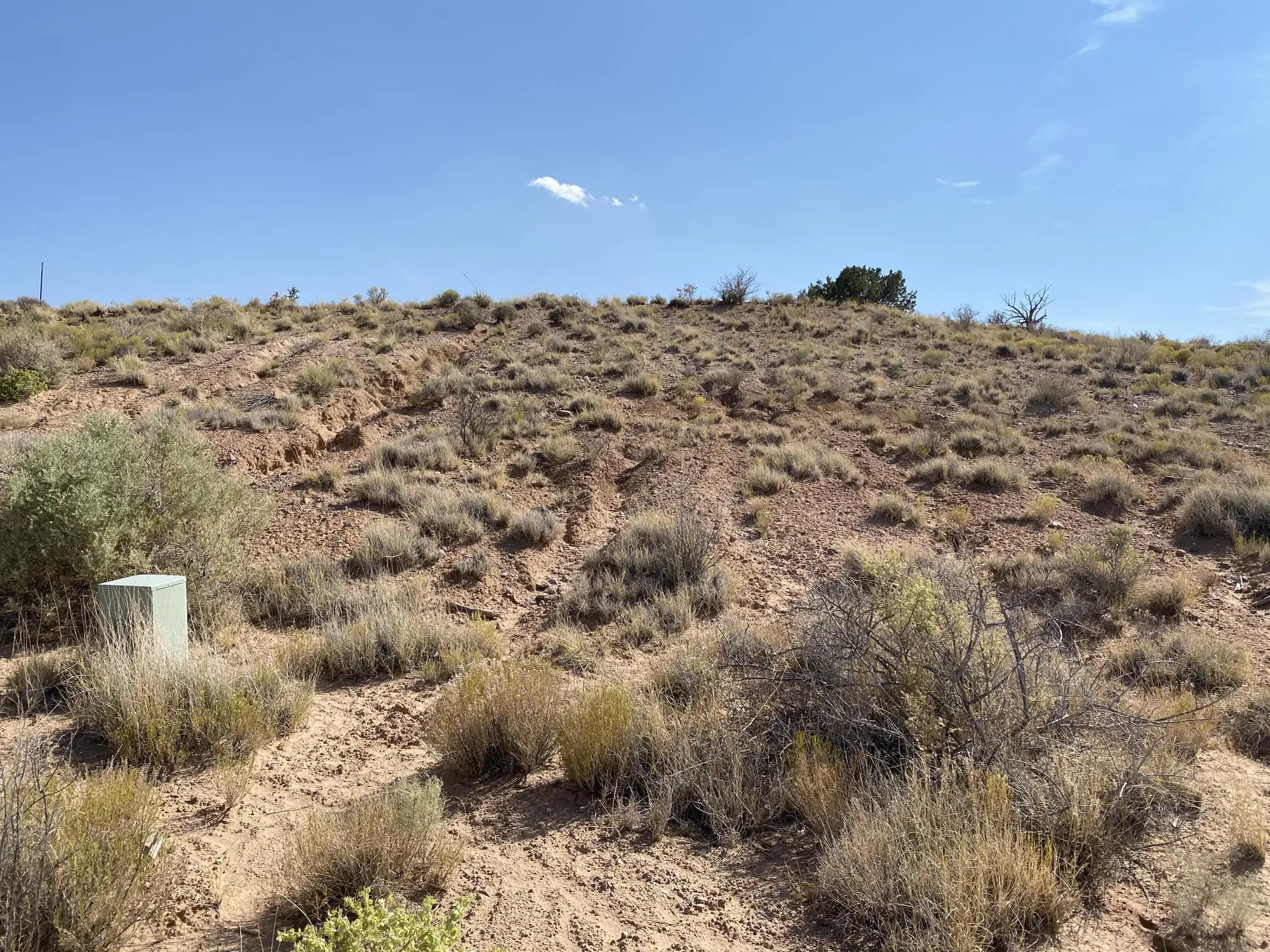 2409 DESERT MARIGOLD Road NE