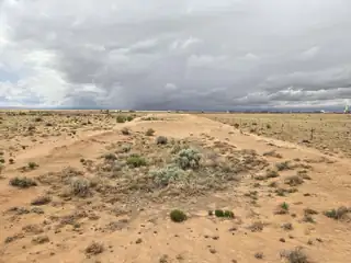 Emilia Road 
