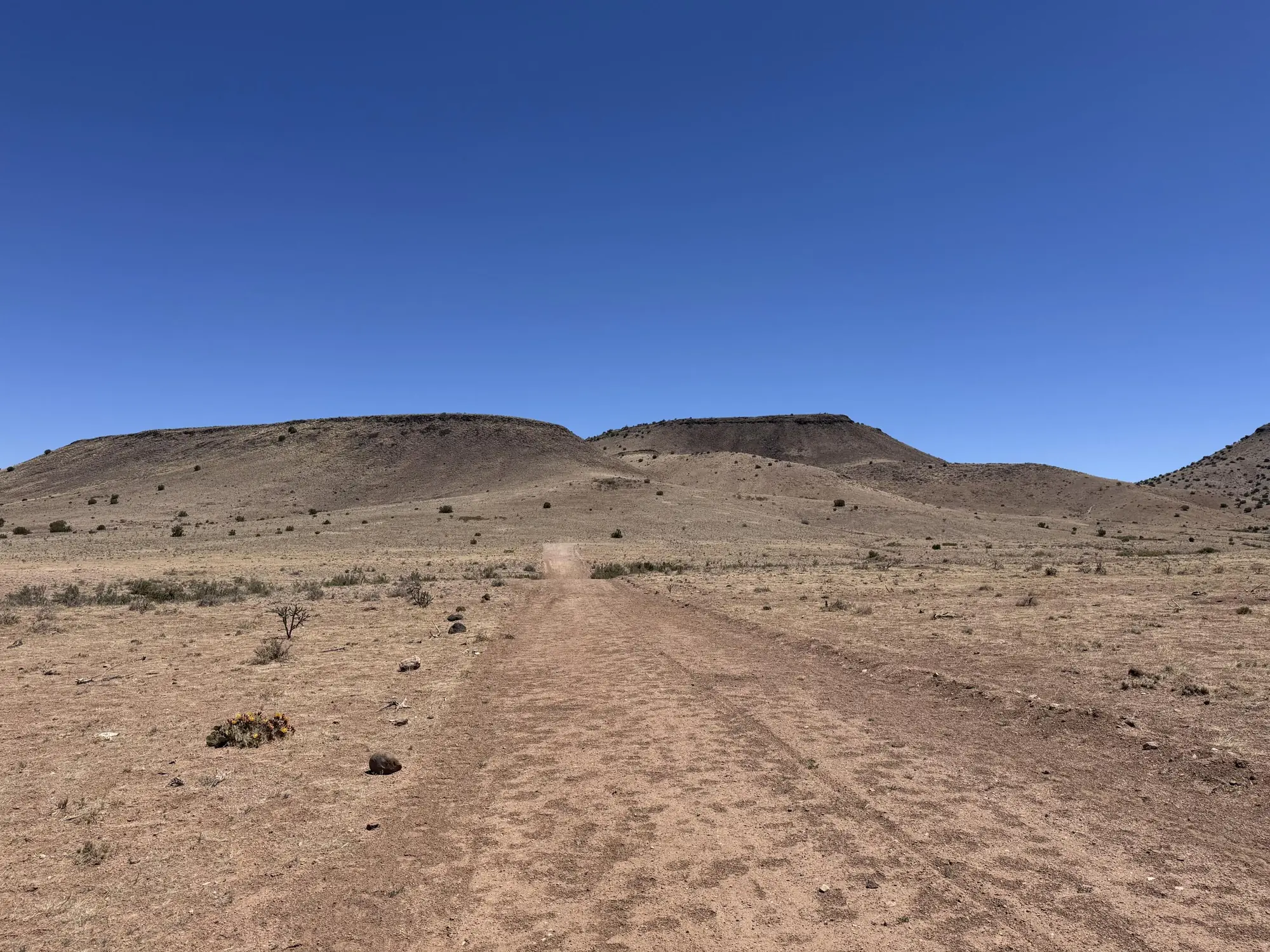 663 Willow Springs Ranch Road
