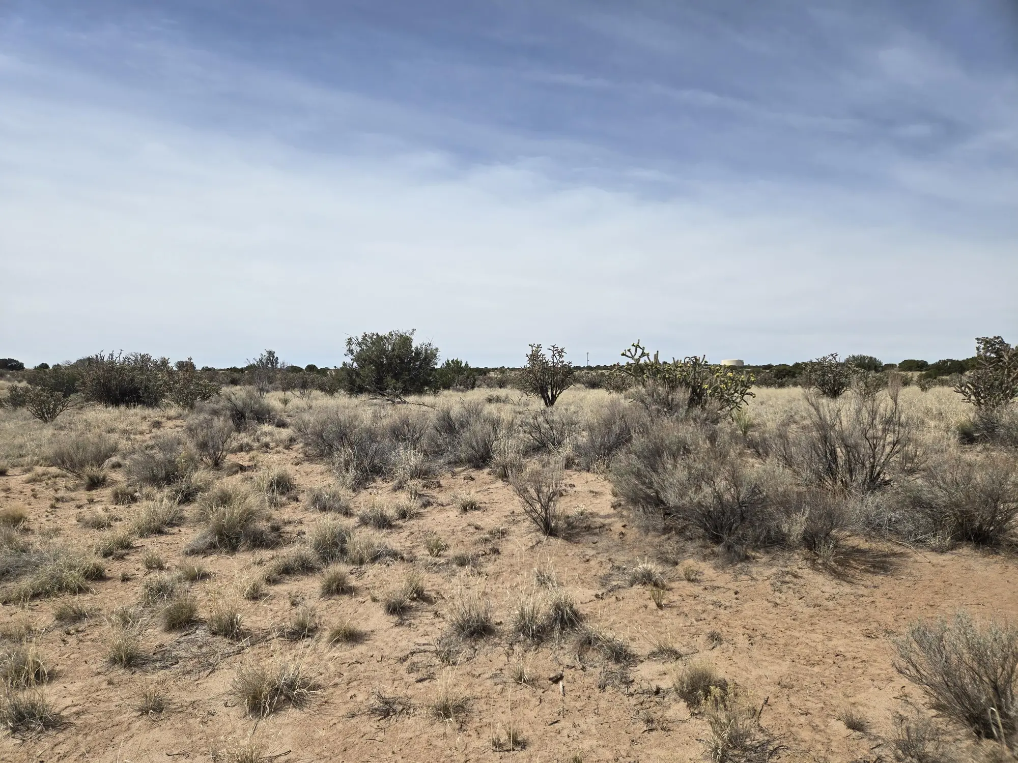 Greystone Loop 25