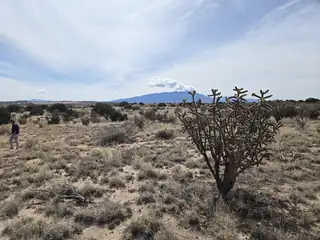 Greystone Loop 25 