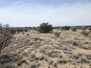 Greystone Loop 25 