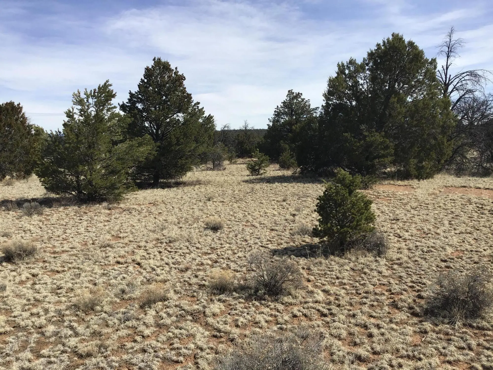 Lots 15-16 Country Lane