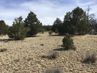 Lots 15-16 Country Lane, Ramah 