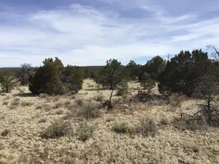 Lots 15-16 Country Lane 
