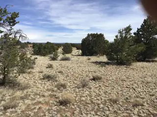 Lots 15-16 Country Lane 
