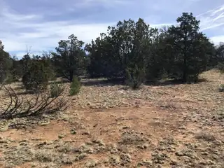 Lots 15-16 Country Lane 