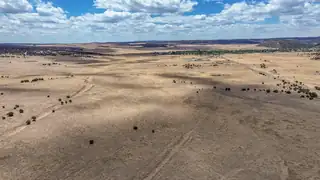 New Mexico 246 