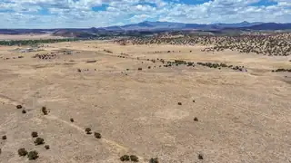 New Mexico 246 