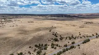 New Mexico 246 