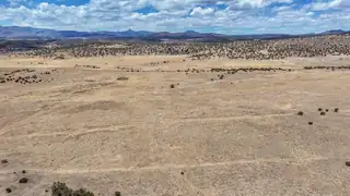 New Mexico 246 