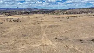 New Mexico 246 