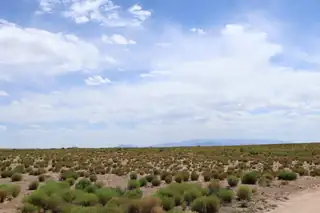 Lot 7 & 8 Rio Grande Estates 