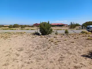 Palomino Road 