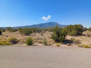Palomino Road 