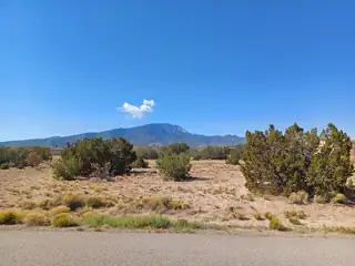 Palomino Road 