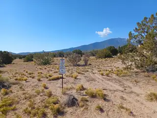Palomino Road 