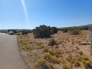 Palomino Road 