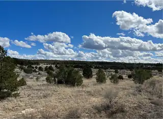 Lot 14 Candy Kitchen Road 