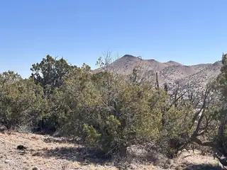 Lot 124 Abbe Springs 