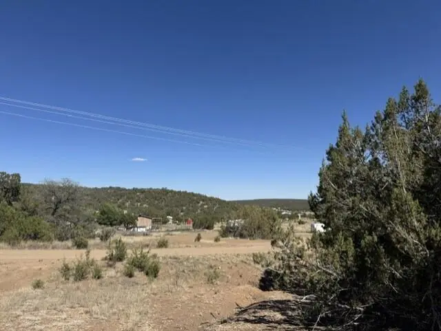 Fire Break Road
