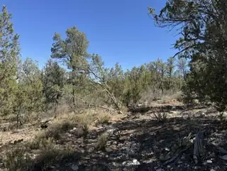 Fire Break Road 