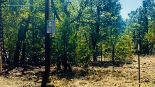 7889 Zuni Cyn Road 