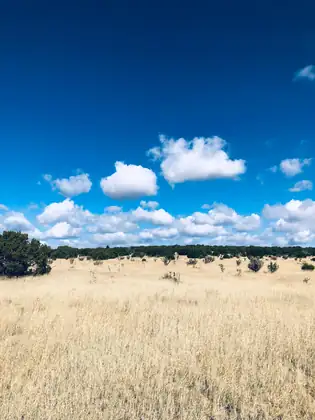 Mission Hills Lot 10, Estancia 