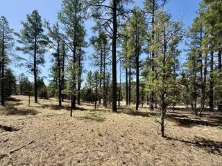 823 Timberlake Road 