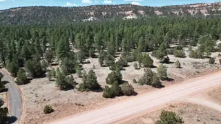 823 Timberlake Road 