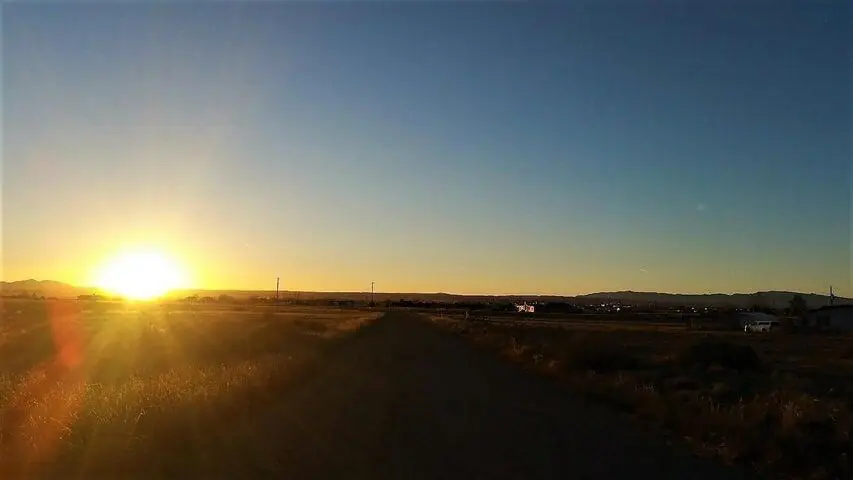 Palomino Drive