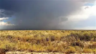 Palomino Drive 